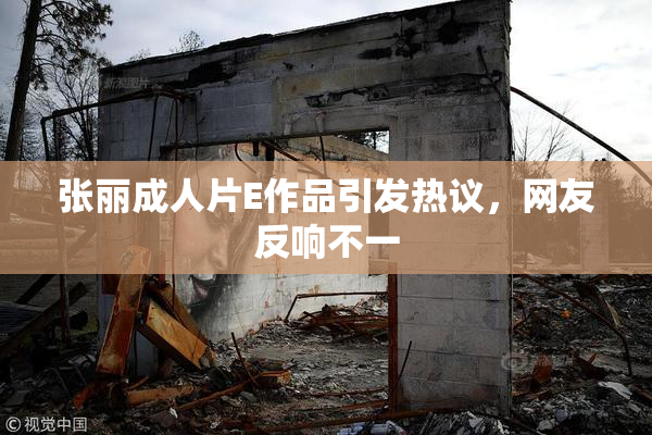 张丽成人片E作品引发热议，网友反响不一