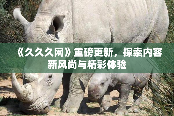 《久久久网》重磅更新，探索内容新风尚与精彩体验