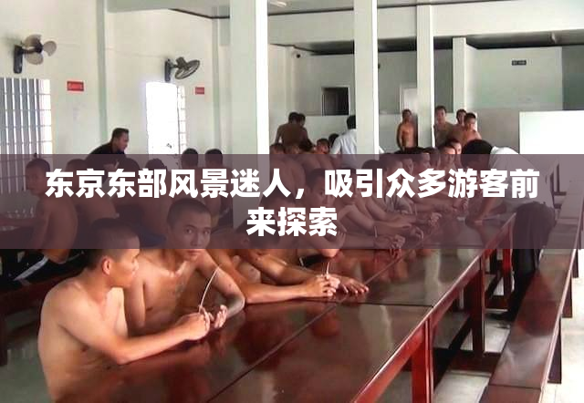 东京东部风景迷人，吸引众多游客前来探索