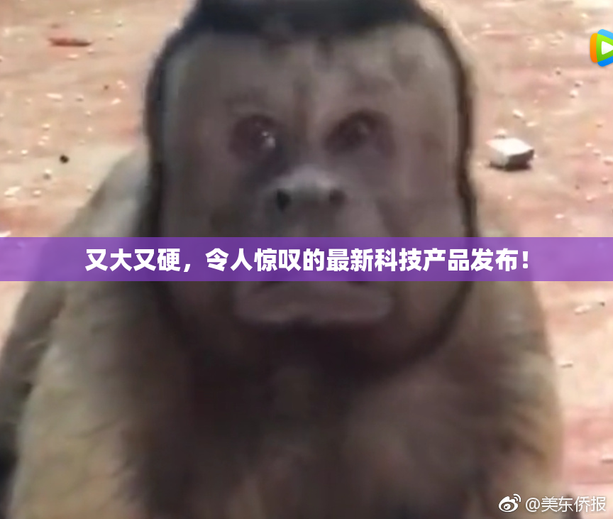 又大又硬，令人惊叹的最新科技产品发布！