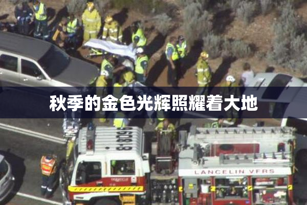 秋季的金色光辉照耀着大地