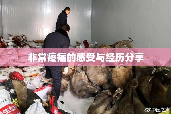 非常疼痛的感受与经历分享
