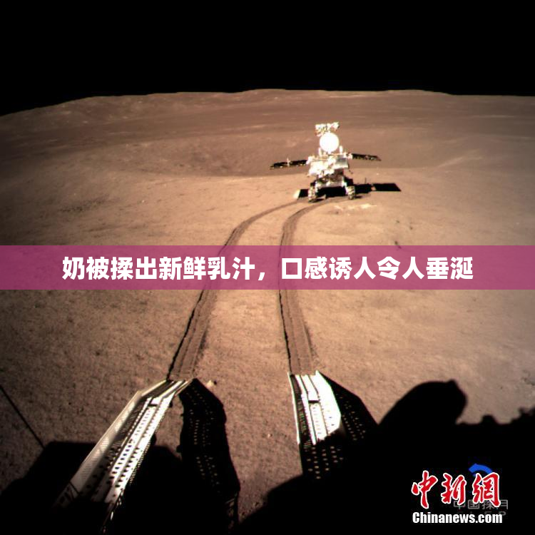 奶被揉出新鲜乳汁，口感诱人令人垂涎