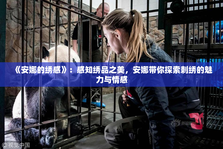 《安娜的绣感》：感知绣品之美，安娜带你探索刺绣的魅力与情感