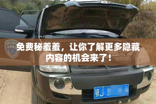 免费秘羞羞，让你了解更多隐藏内容的机会来了！