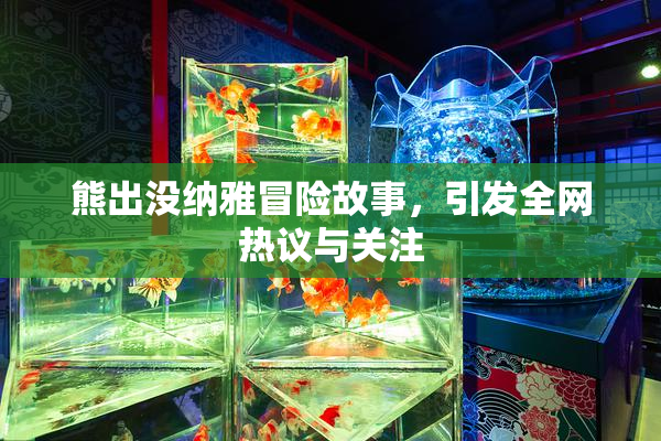 熊出没纳雅冒险故事，引发全网热议与关注