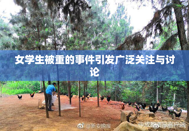 女学生被重的事件引发广泛关注与讨论