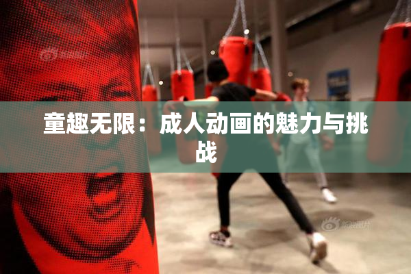 童趣无限：成人动画的魅力与挑战