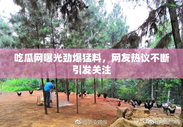 吃瓜网曝光劲爆猛料，网友热议不断引发关注