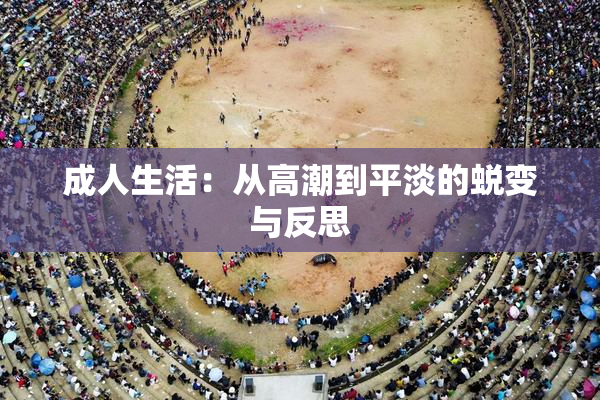 成人生活：从高潮到平淡的蜕变与反思