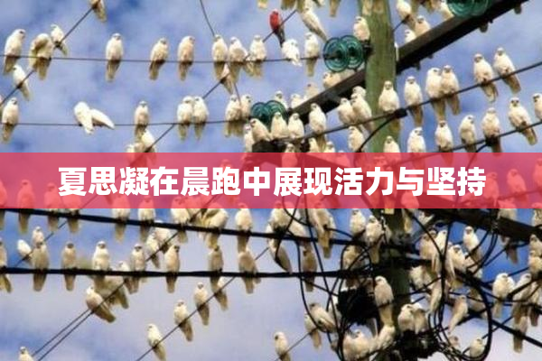 夏思凝在晨跑中展现活力与坚持