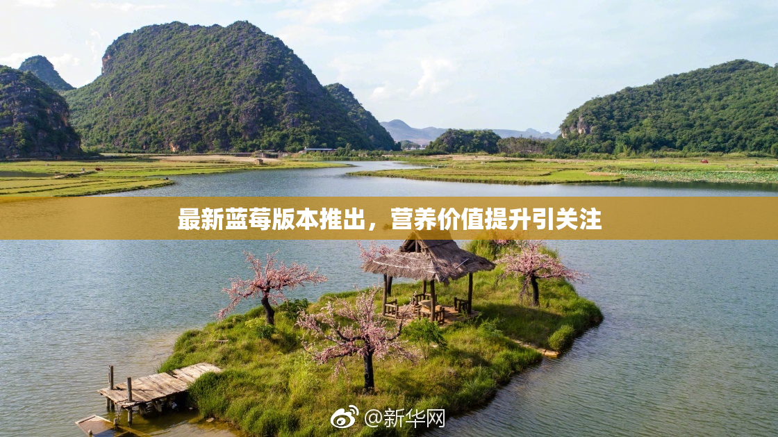 最新蓝莓版本推出，营养价值提升引关注