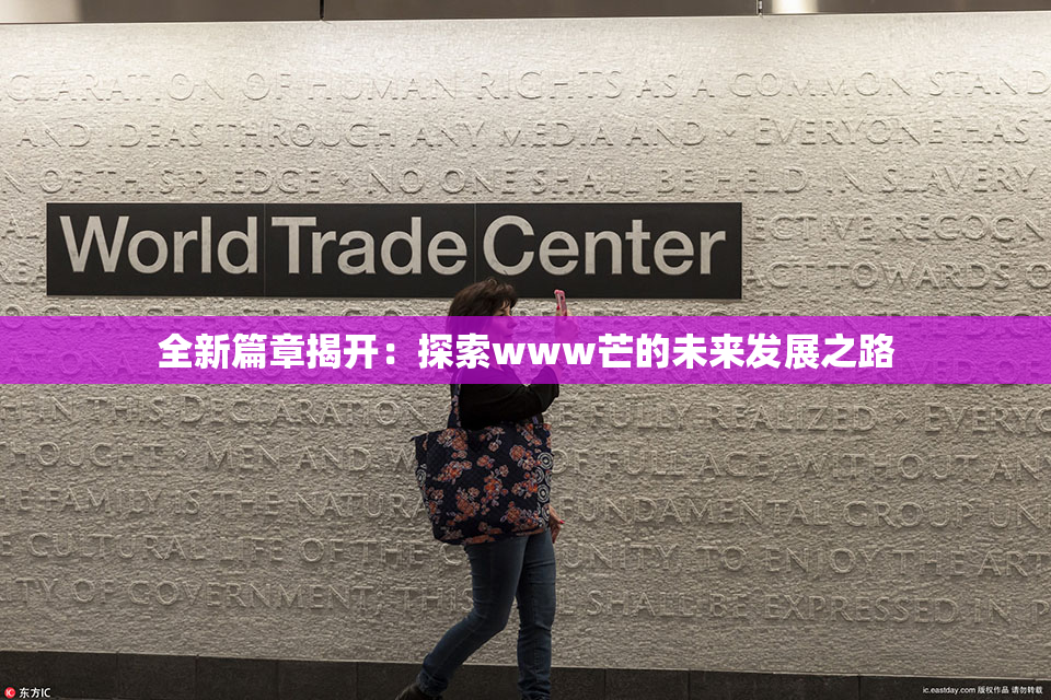 全新篇章揭开：探索www芒的未来发展之路