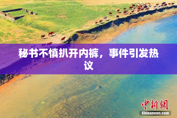 秘书不慎扒开内裤，事件引发热议