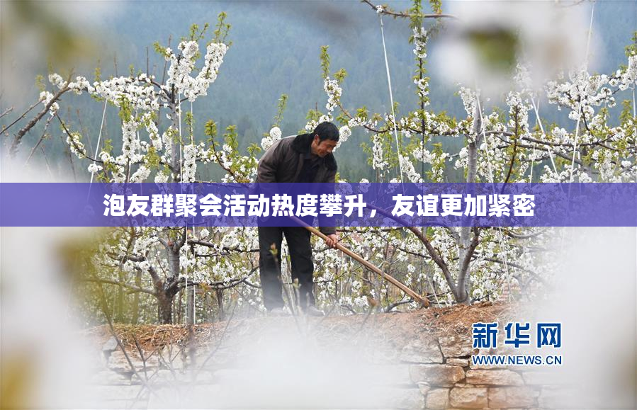 泡友群聚会活动热度攀升，友谊更加紧密