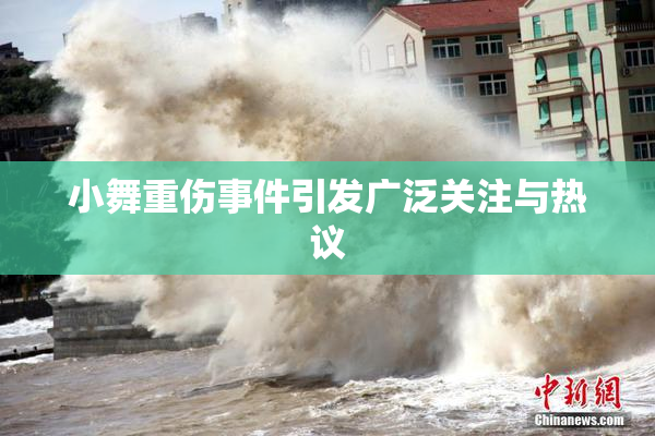小舞重伤事件引发广泛关注与热议