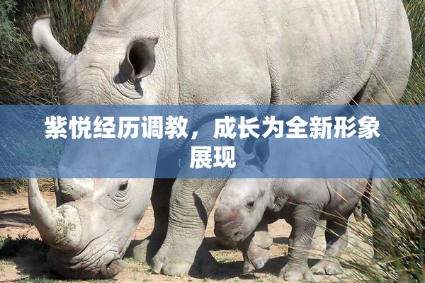 紫悦经历调教，成长为全新形象展现