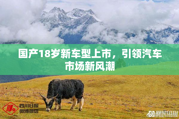 国产18岁新车型上市，引领汽车市场新风潮