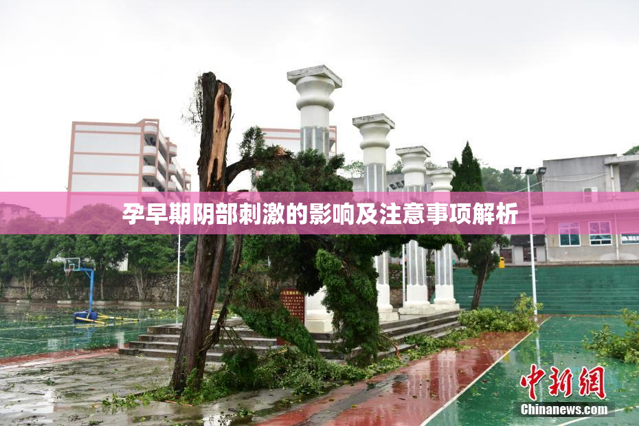 孕早期阴部刺激的影响及注意事项解析