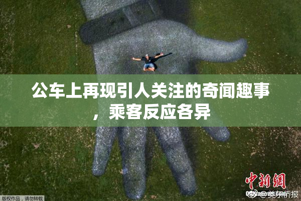 公车上再现引人关注的奇闻趣事，乘客反应各异