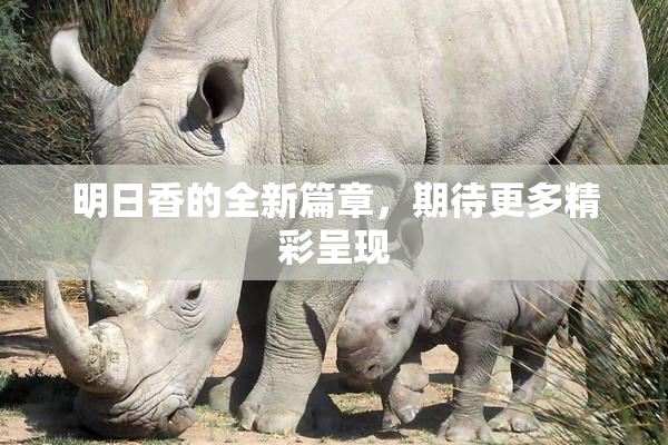 明日香的全新篇章，期待更多精彩呈现