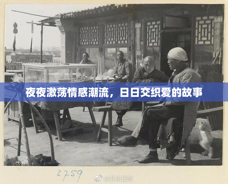 夜夜激荡情感潮流，日日交织爱的故事