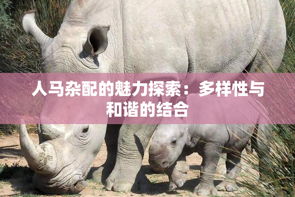 人马杂配的魅力探索：多样性与和谐的结合