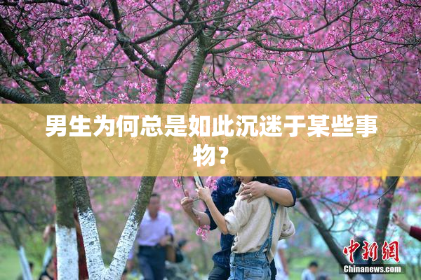 男生为何总是如此沉迷于某些事物？