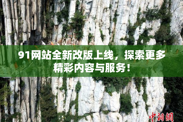 91网站全新改版上线，探索更多精彩内容与服务！