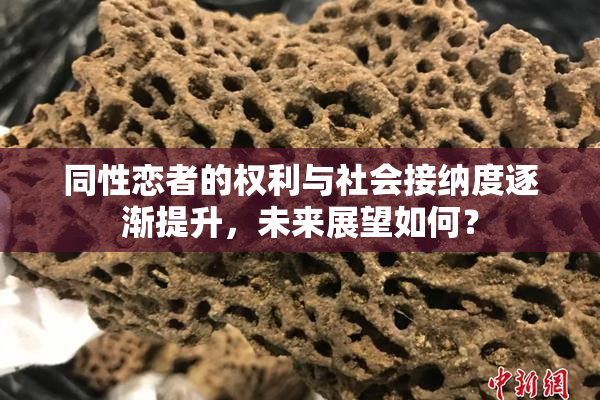同性恋者的权利与社会接纳度逐渐提升，未来展望如何？