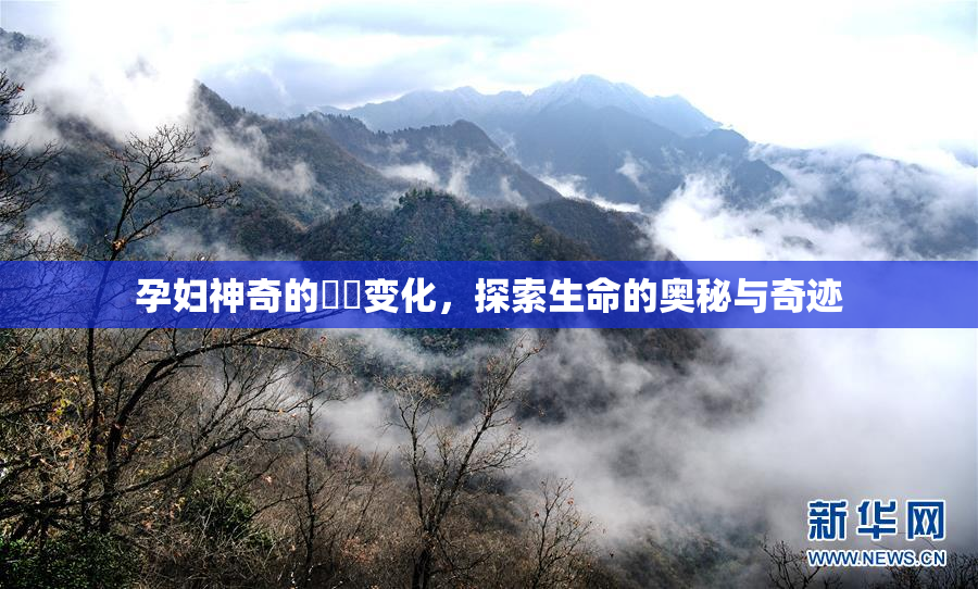 孕妇神奇的乂乄变化，探索生命的奥秘与奇迹