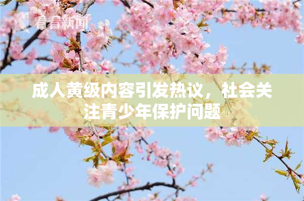 成人黄级内容引发热议，社会关注青少年保护问题