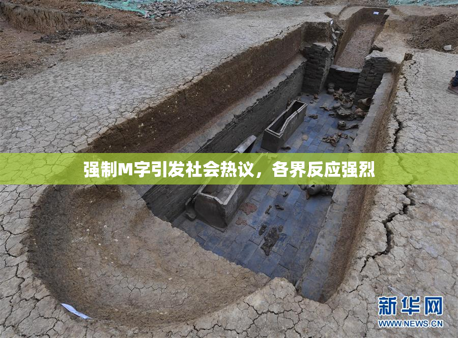 强制M字引发社会热议，各界反应强烈