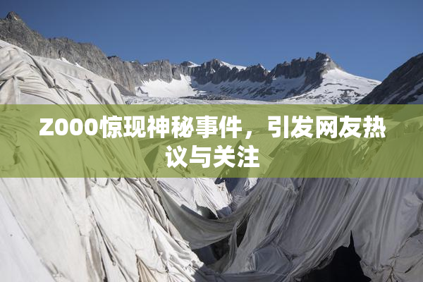 Z000惊现神秘事件，引发网友热议与关注