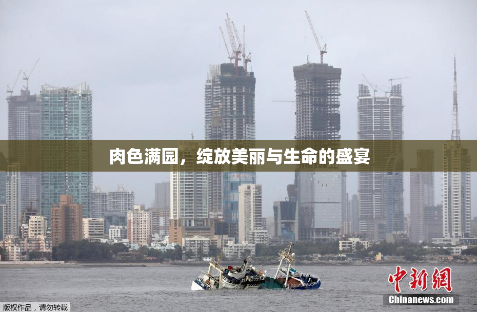 肉色满园，绽放美丽与生命的盛宴