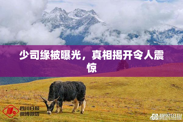 少司缘被曝光，真相揭开令人震惊