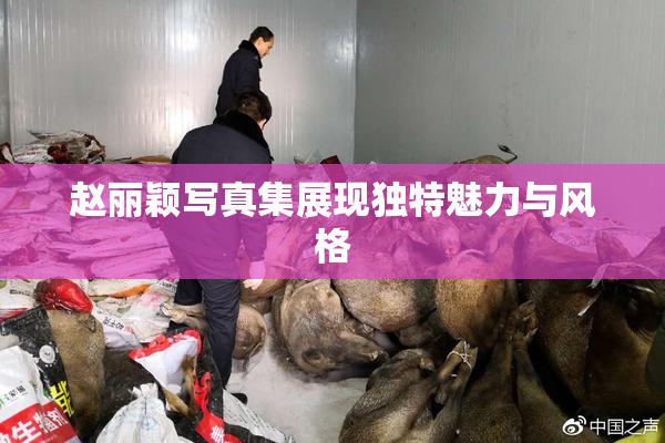 赵丽颖写真集展现独特魅力与风格
