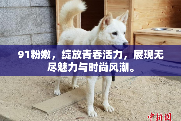 91粉嫩，绽放青春活力，展现无尽魅力与时尚风潮。