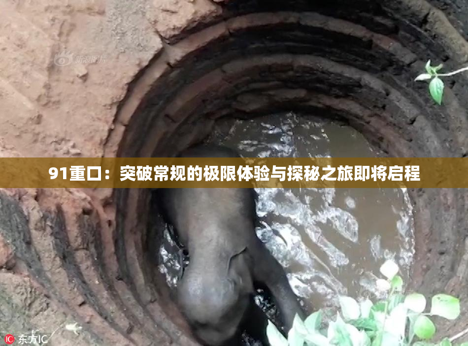 91重口：突破常规的极限体验与探秘之旅即将启程