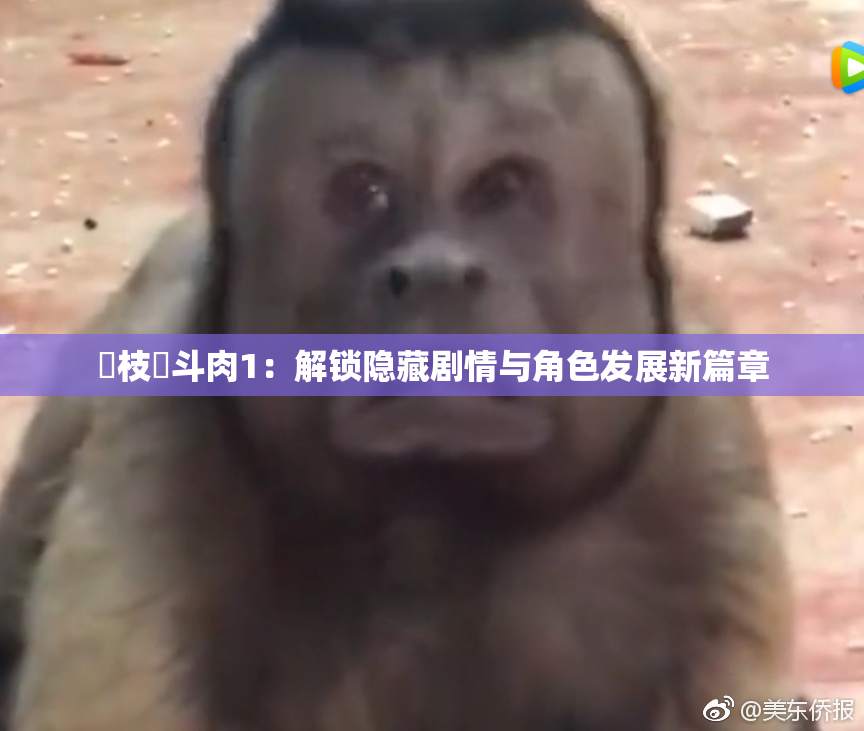 狛枝凪斗肉1：解锁隐藏剧情与角色发展新篇章