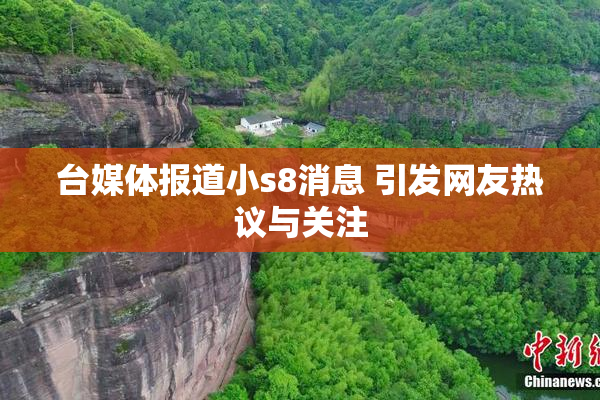 台媒体报道小s8消息 引发网友热议与关注