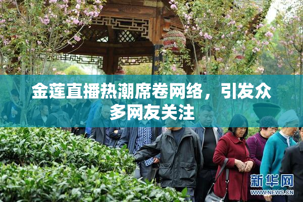 金莲直播热潮席卷网络，引发众多网友关注