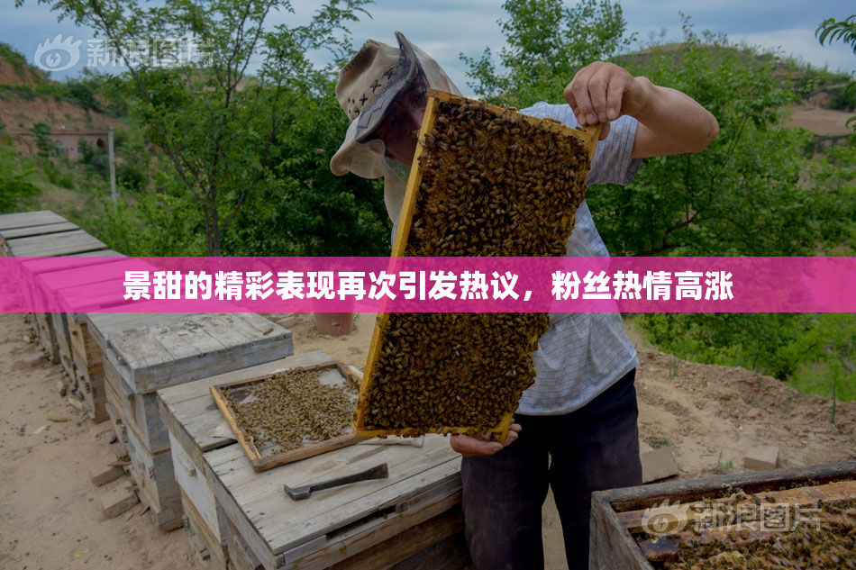 景甜的精彩表现再次引发热议，粉丝热情高涨