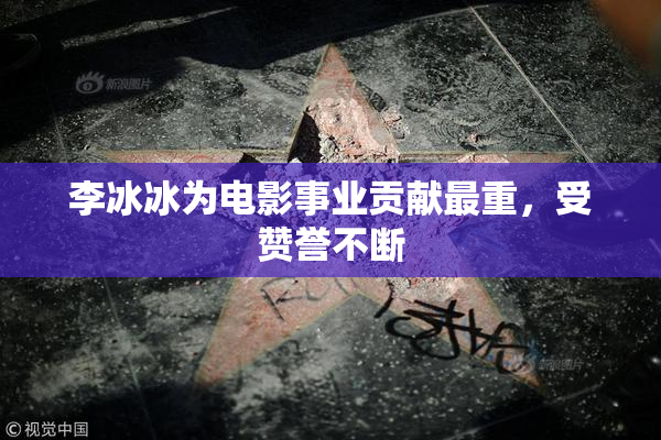 李冰冰为电影事业贡献最重，受赞誉不断