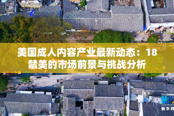 美国成人内容产业最新动态：18禁美的市场前景与挑战分析