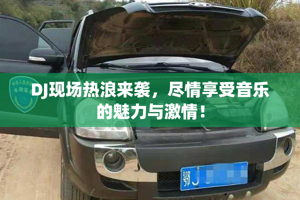 DJ现场热浪来袭，尽情享受音乐的魅力与激情！