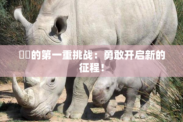 妺妺的第一重挑战：勇敢开启新的征程！