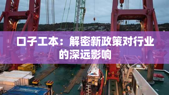 口子工本：解密新政策对行业的深远影响