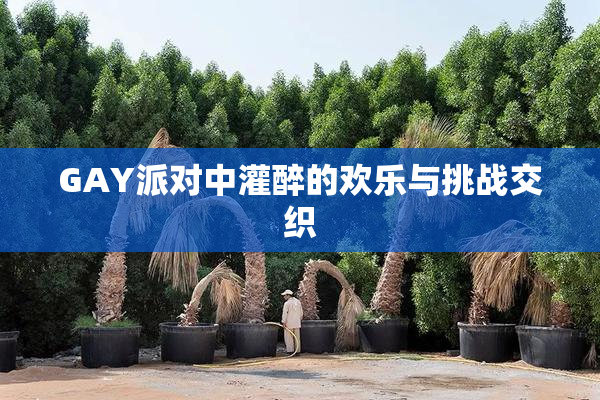 GAY派对中灌醉的欢乐与挑战交织