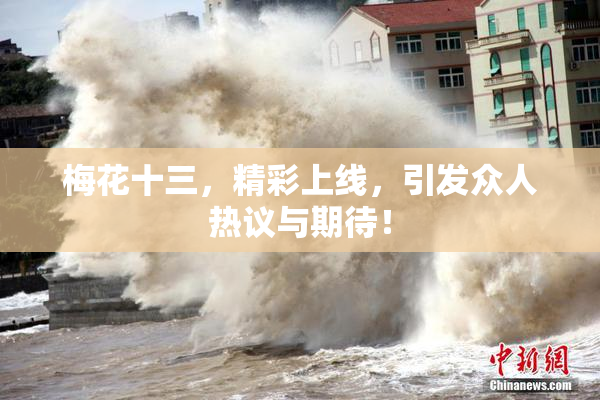 梅花十三，精彩上线，引发众人热议与期待！